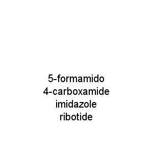 5-formamido 4-carboxamide imidazole ribotide